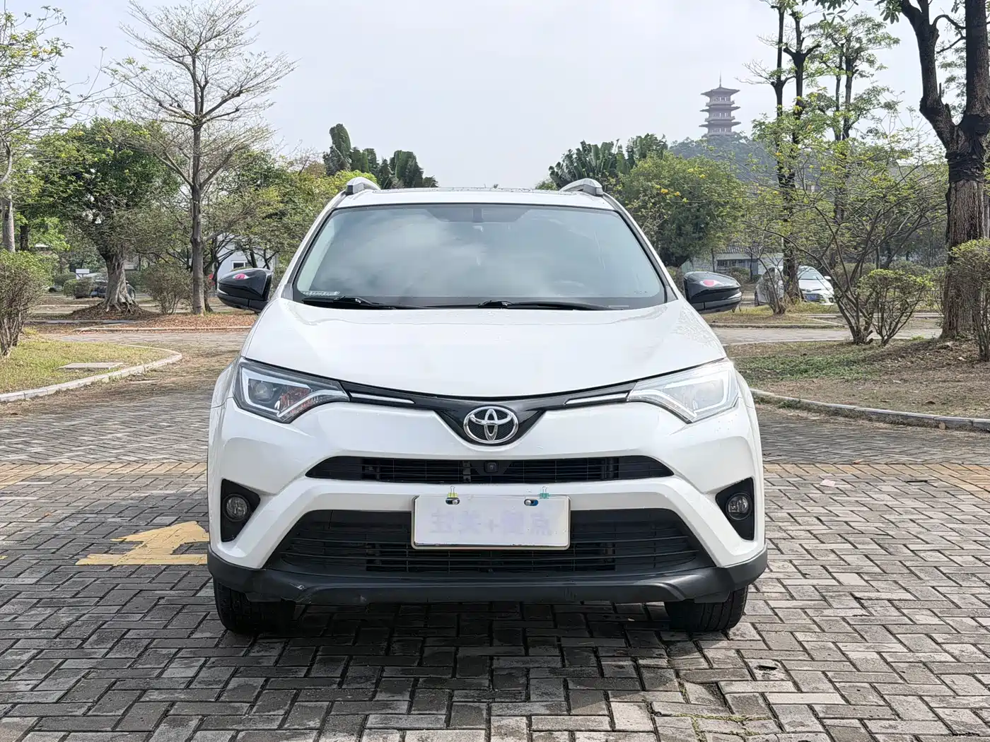 Toyota RAV4 Rongfang 2019 2.0L CVT 2WD Style X Limited Edition China VI фото 2