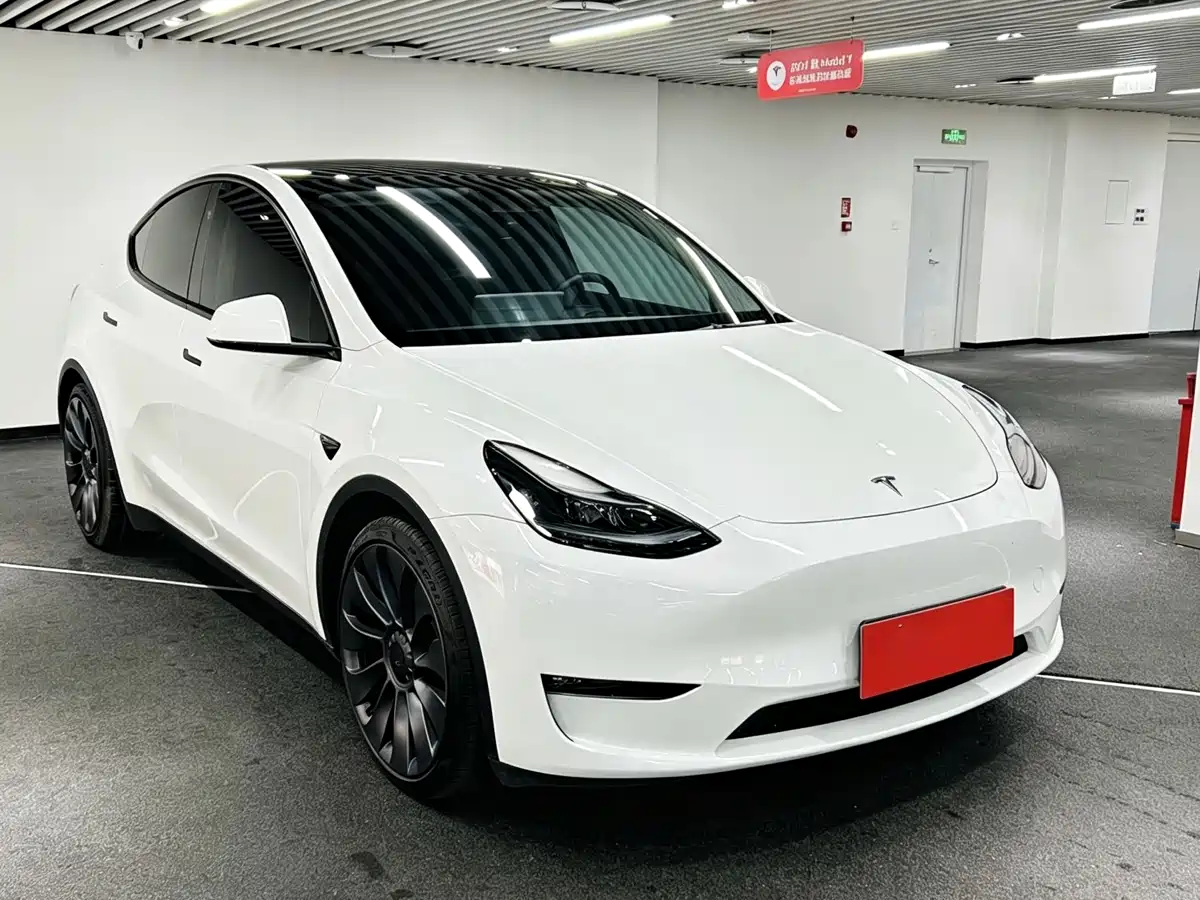 Tesla Model Y 2024 Performance фото 3
