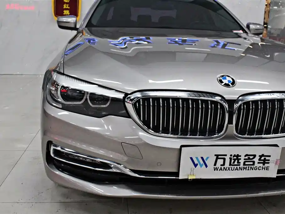 BMW 5 Series 2018 530Li Leading Luxury Package фото 2