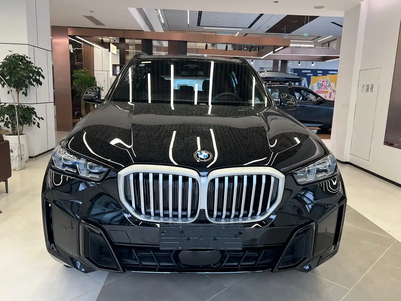 BMW X5 2025 Model xDrive 40Li M Sport Blackout Package фото 2