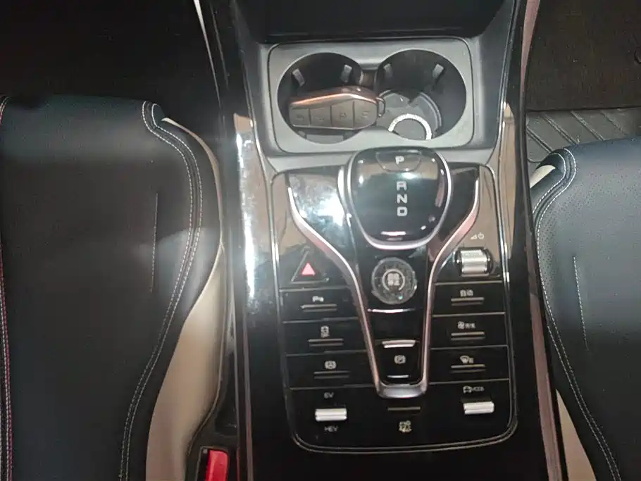 BYD Qin PLUS 2023 Champion Edition DM-i 55KM Leading фото 16