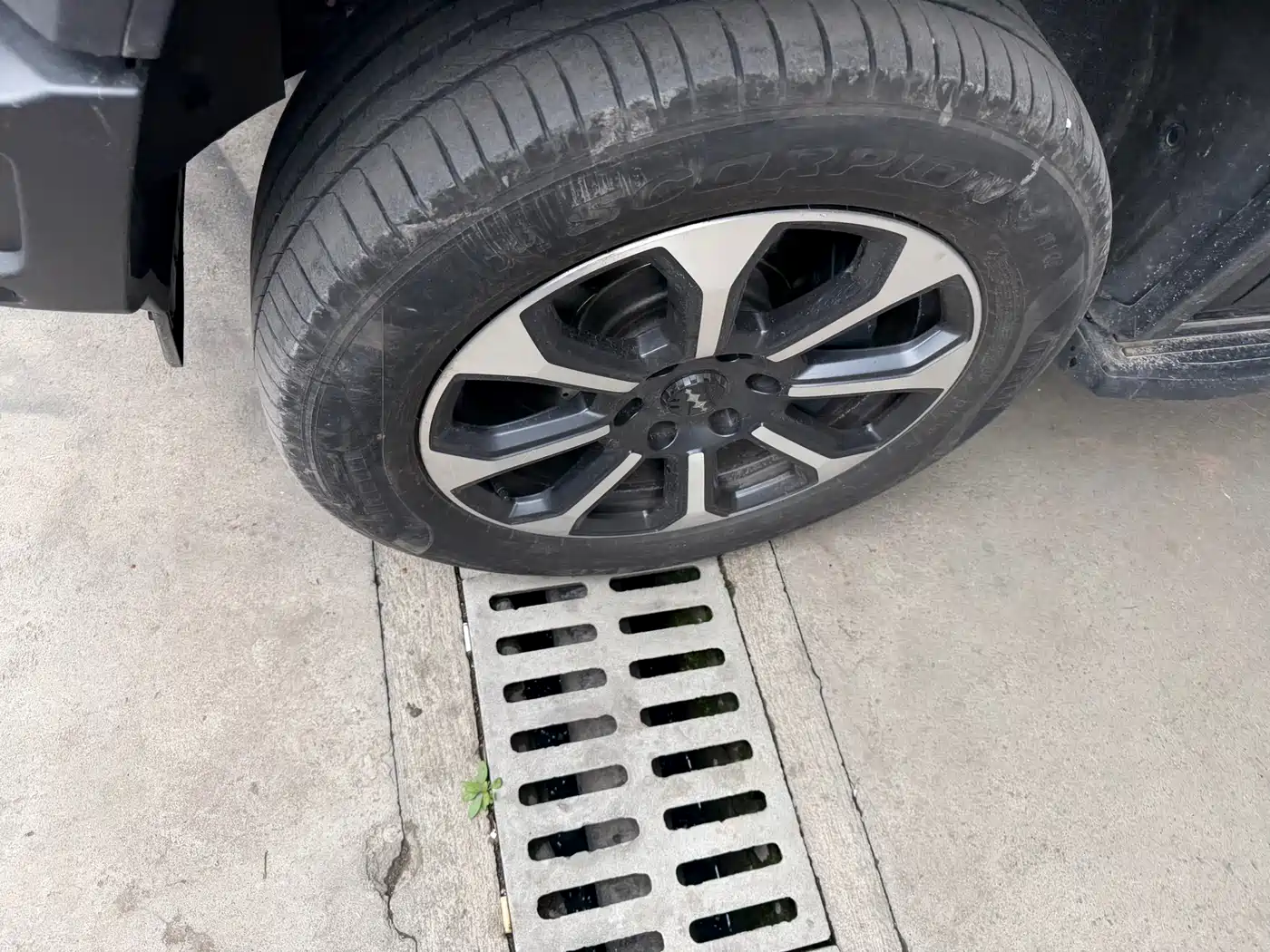 FANG CHENG BAO LEOPARD 5