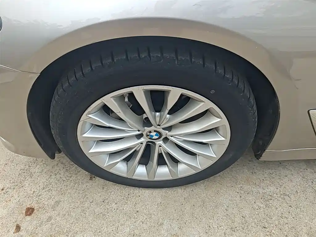 BMW 5 Series 2020 525Li Luxury Package фото 23