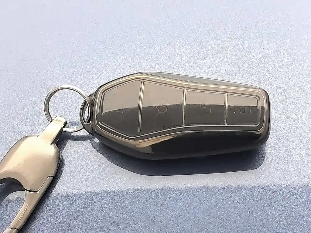 BYD Dolphin 2026 2025 420km Freedom Edition