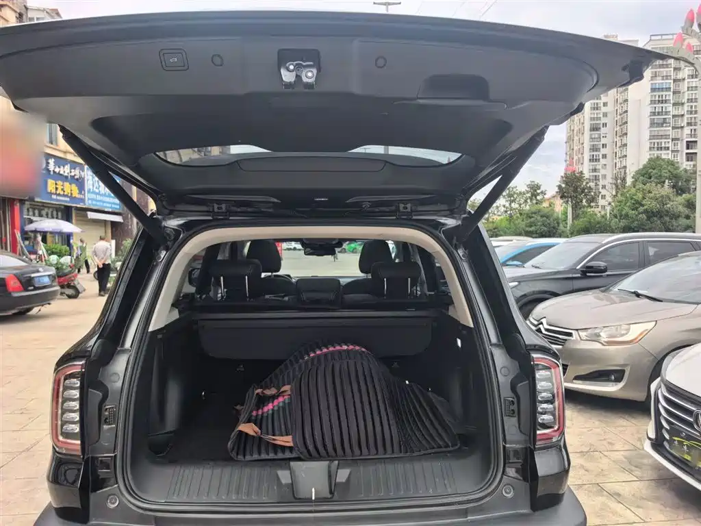 Haval Big Dog 2021 1.5T DCT 2WD Malinois Edition фото 8