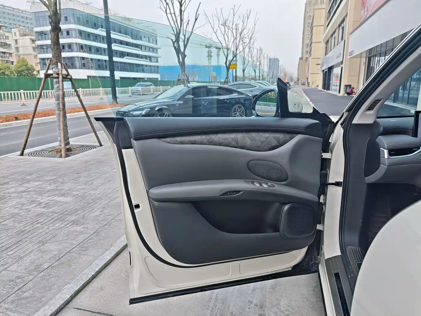 ZHIJI AUTOMOBILE ZHIJI LS6