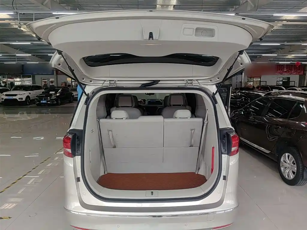 Buick GL8 2017 ES 28T Comfort Type China V фото 19