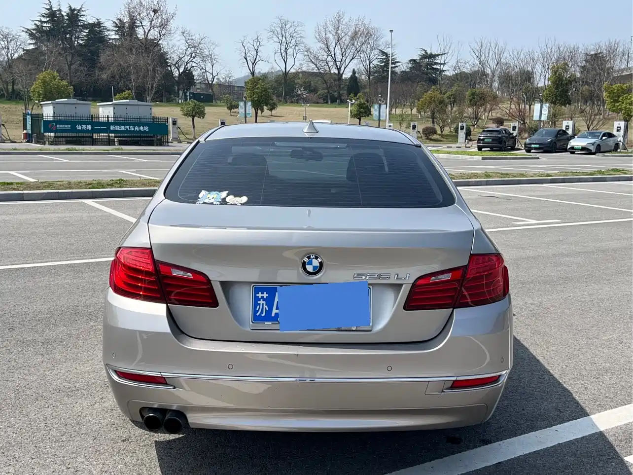BMW 5 Series 2014 525Li Luxury Design Package фото 7