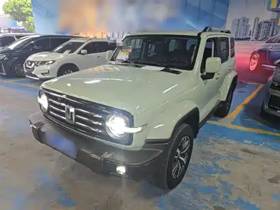 Tank 300