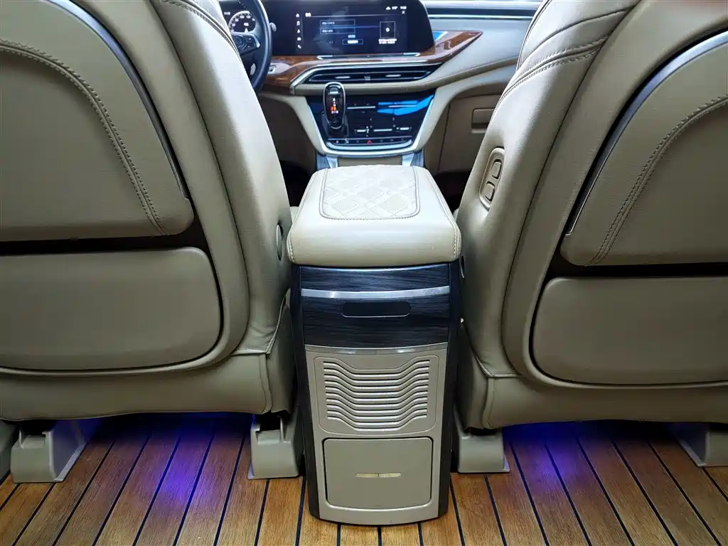 Buick GL8 2021 ES Landlord 653T Luxury фото 9