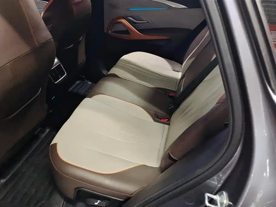 BYD Song Pro New Energy 2023 Champion Edition DM-i 110KM Excellence фото 11