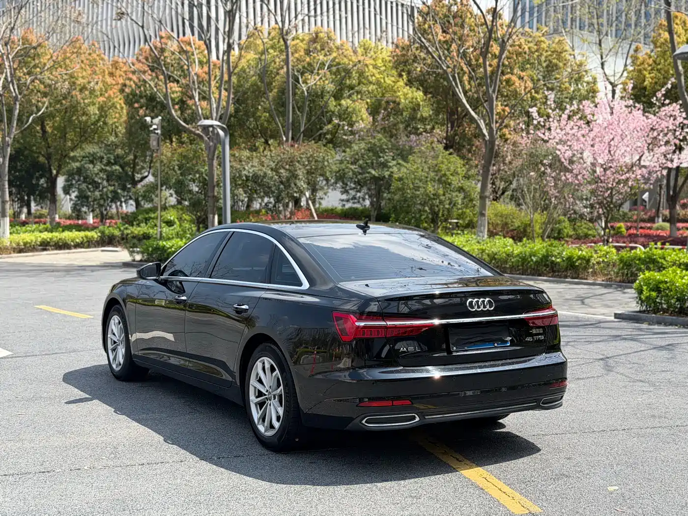 Audi A6L 2021 40 TFSI Luxury Elegance фото 9