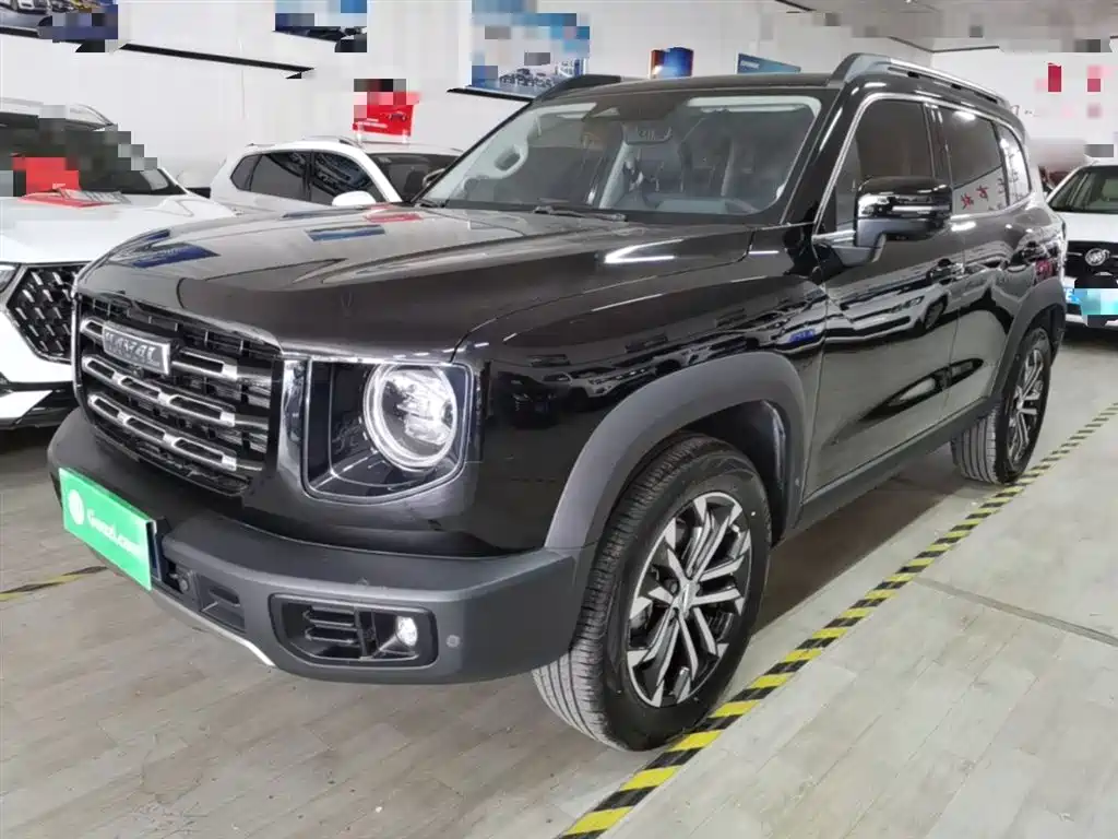 Haval Big Dog 2022 1.5T DCT FWD Border Collie Edition фото 2