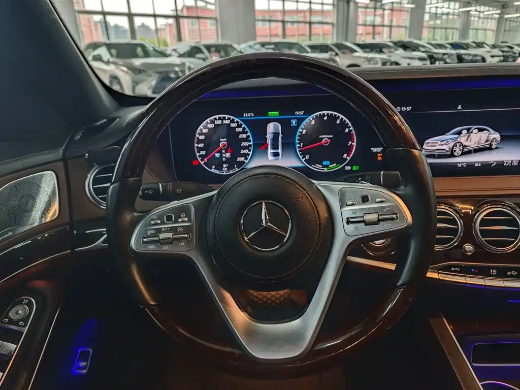 Mercedes-Benz S-Class 2020 S 350 L Premium Edition Collector's Version фото 17