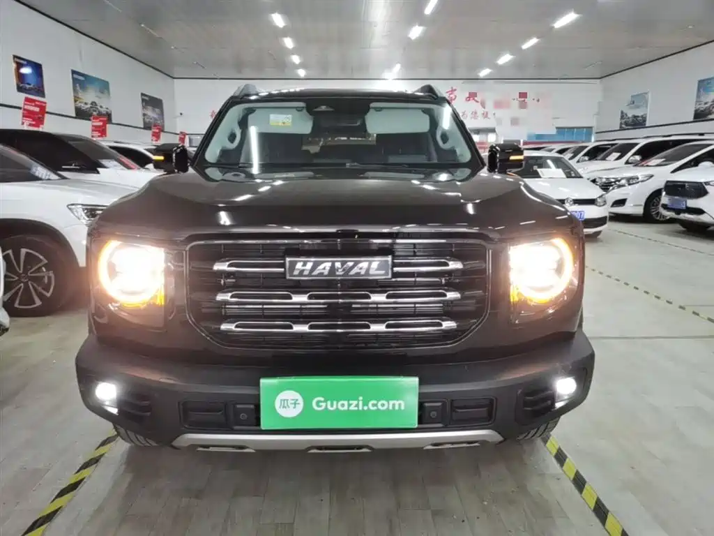 Haval Big Dog 2022 1.5T DCT FWD Border Collie Edition фото 3