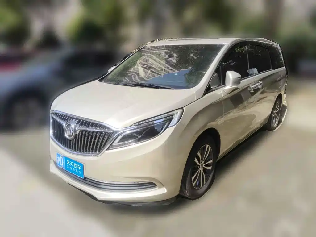 Фото 1 - Buick GL8
