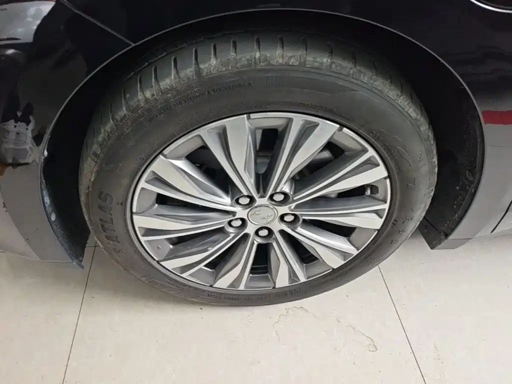 Hongqi E-QM5 2024 2024 Model 610km PLUS