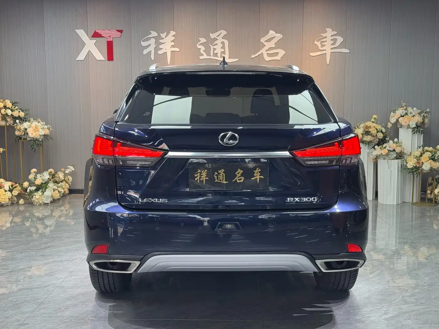 Lexus RX 2020 300 4WD Elegance Edition China VI фото 22