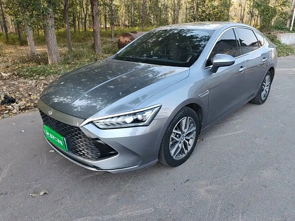 Фото 1 - BYD Qin PLUS