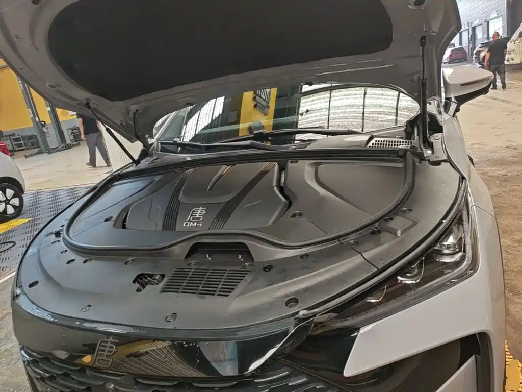 BYD Tang New Energy 2025 Smart Driving Edition DM-i 115KM Flagship фото 20
