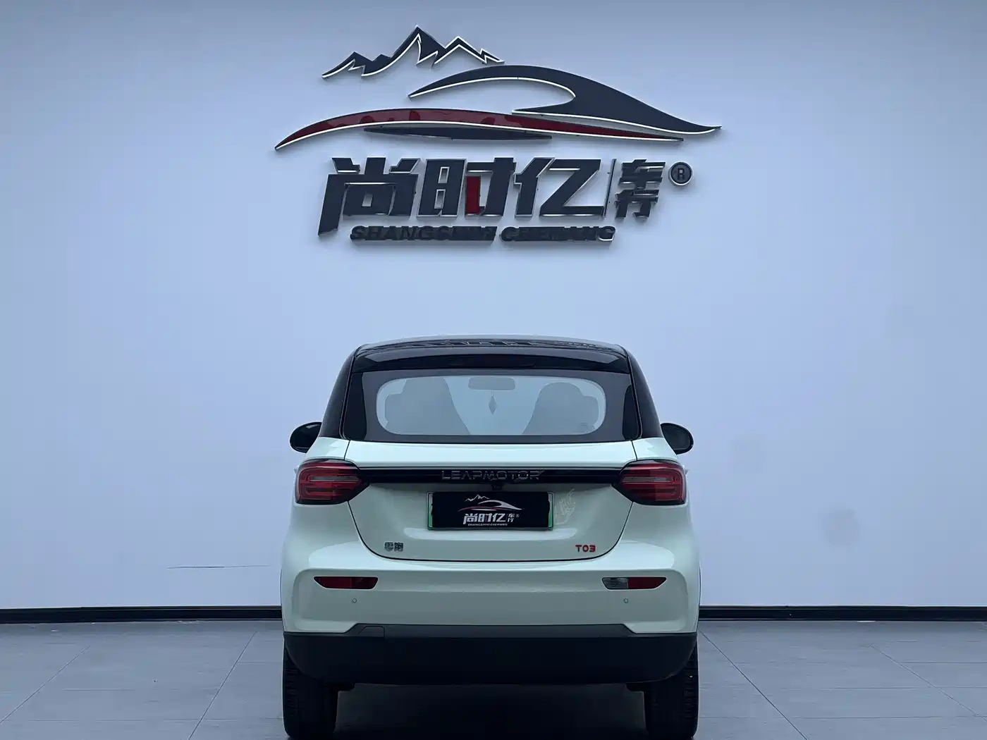 ZERO-RUNNING CAR ZERO RUN T03