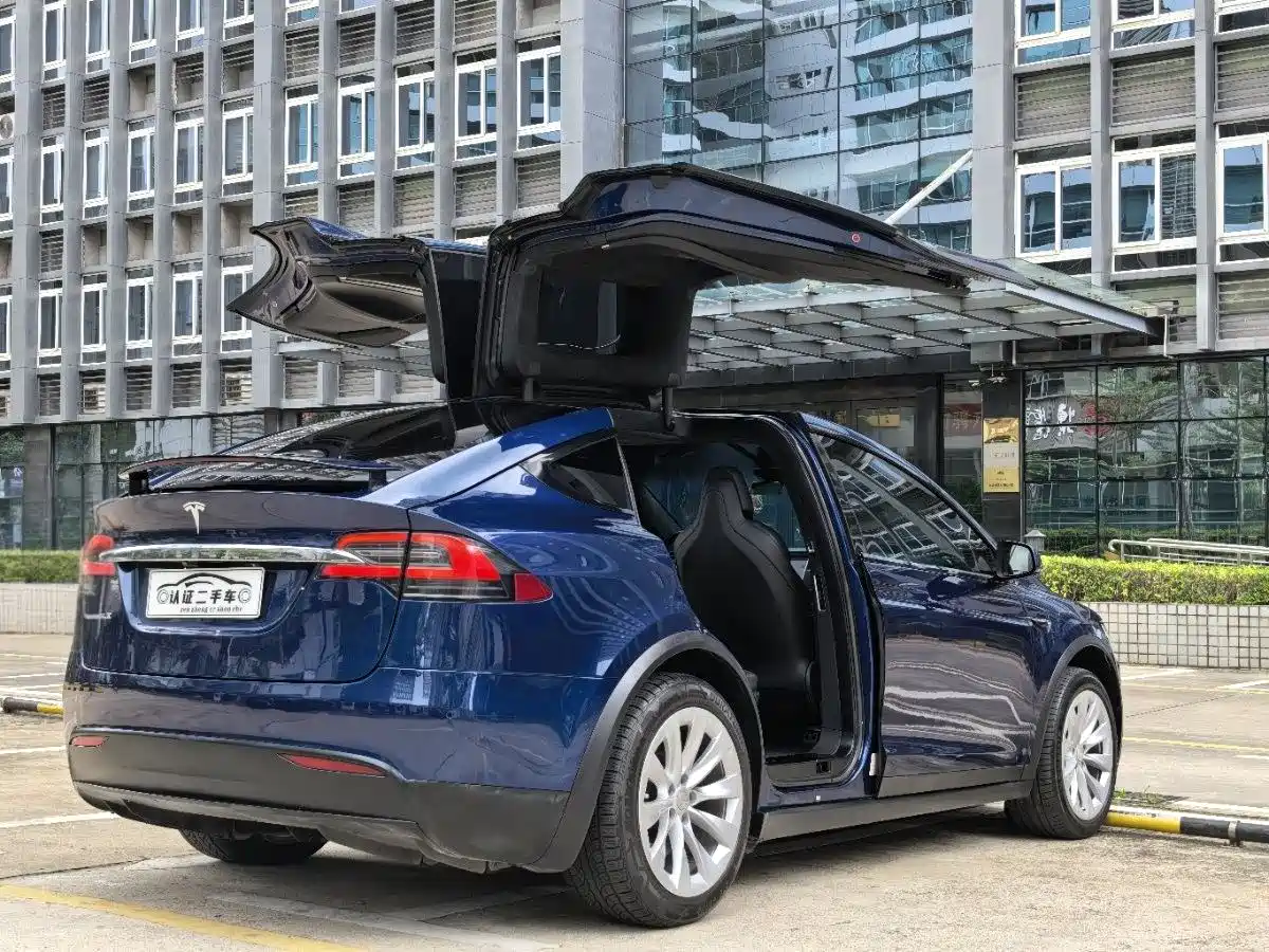 Tesla Model X 2017 2017 Model X 100D Long Range