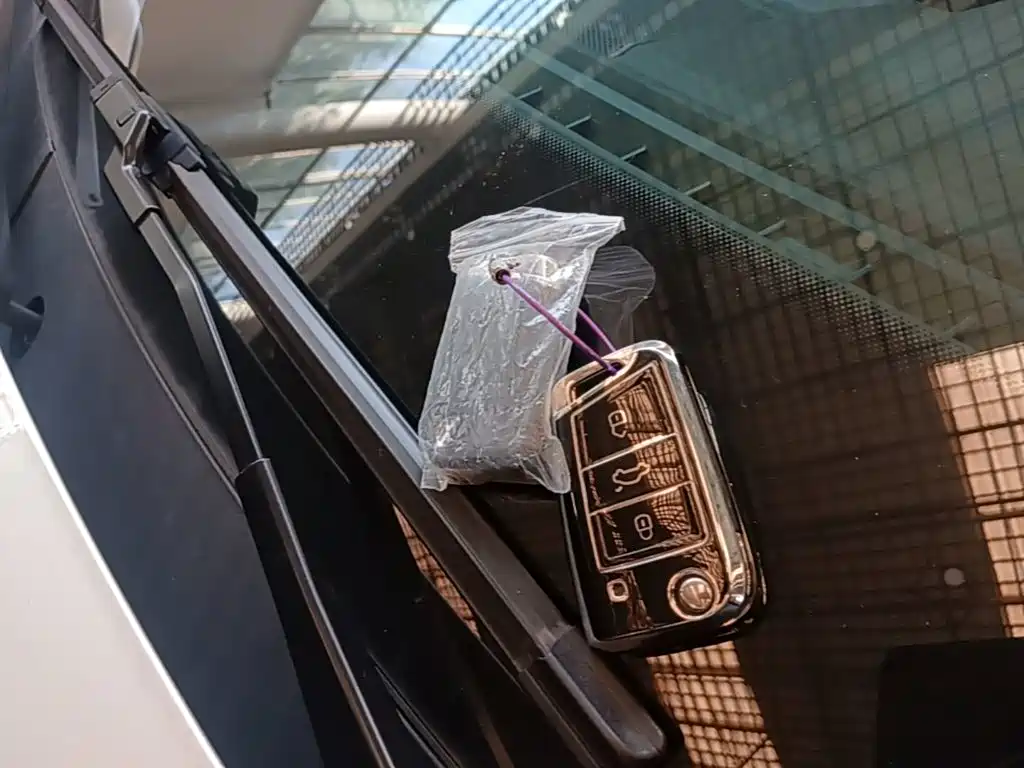 صورة 9 - Volkswagen Teramont