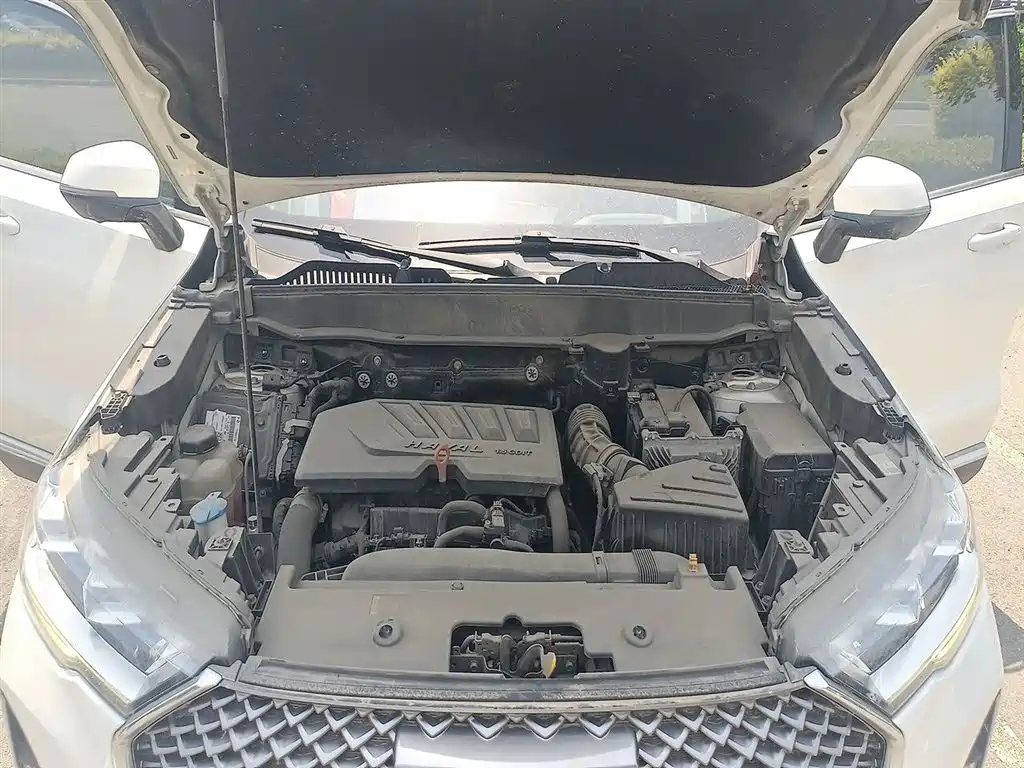 Haval H6 2021 3rd Generation 1.5T Auto 2WD Max фото 16
