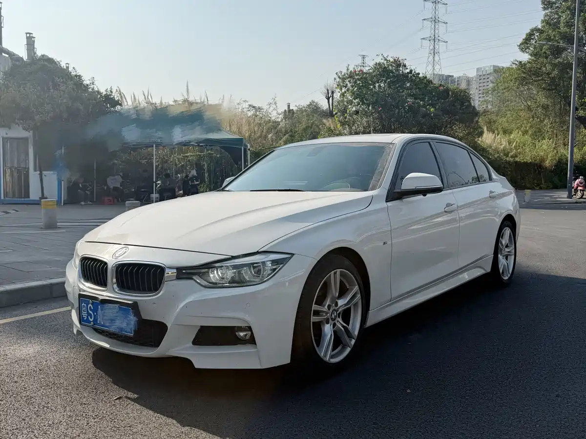 BMW 3 Series 2017 320Li M Sport фото 2