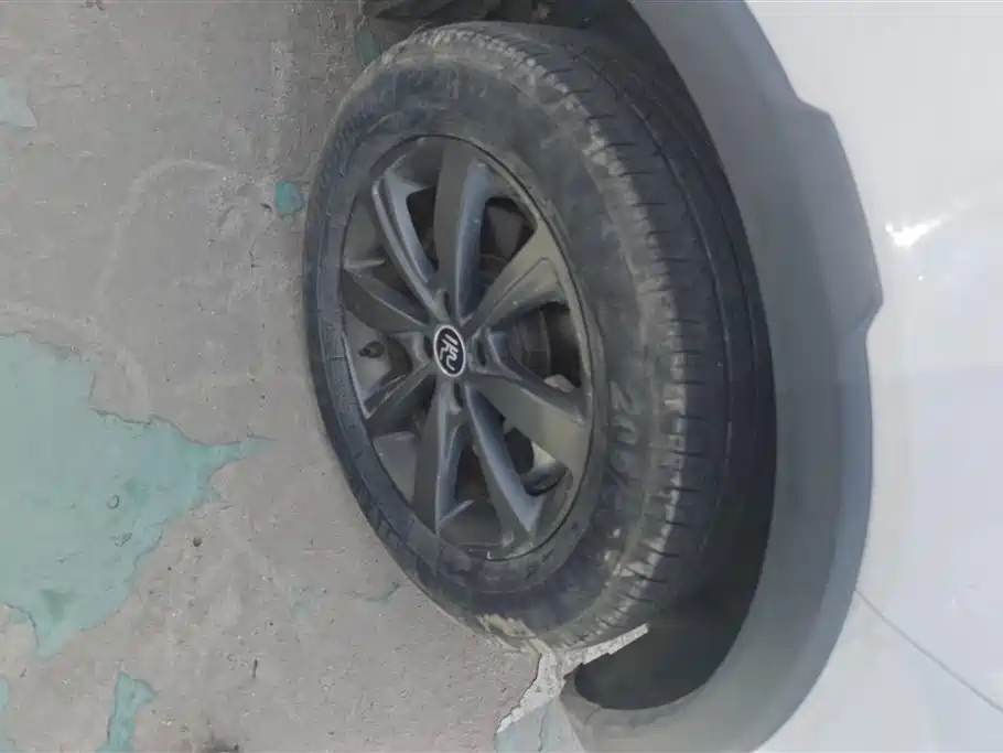 BYD Yuan New Energy 2019 EV535 Smart Connection Leading Type фото 6