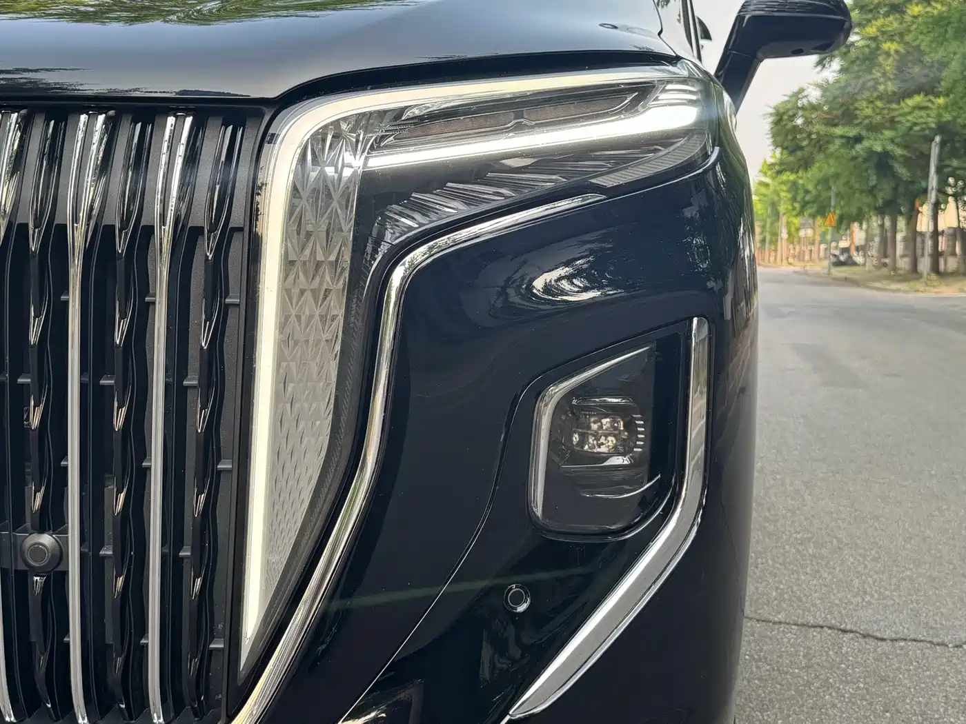 Hongqi HQ9 2023 2.0T Smart Connect Flagship фото 12