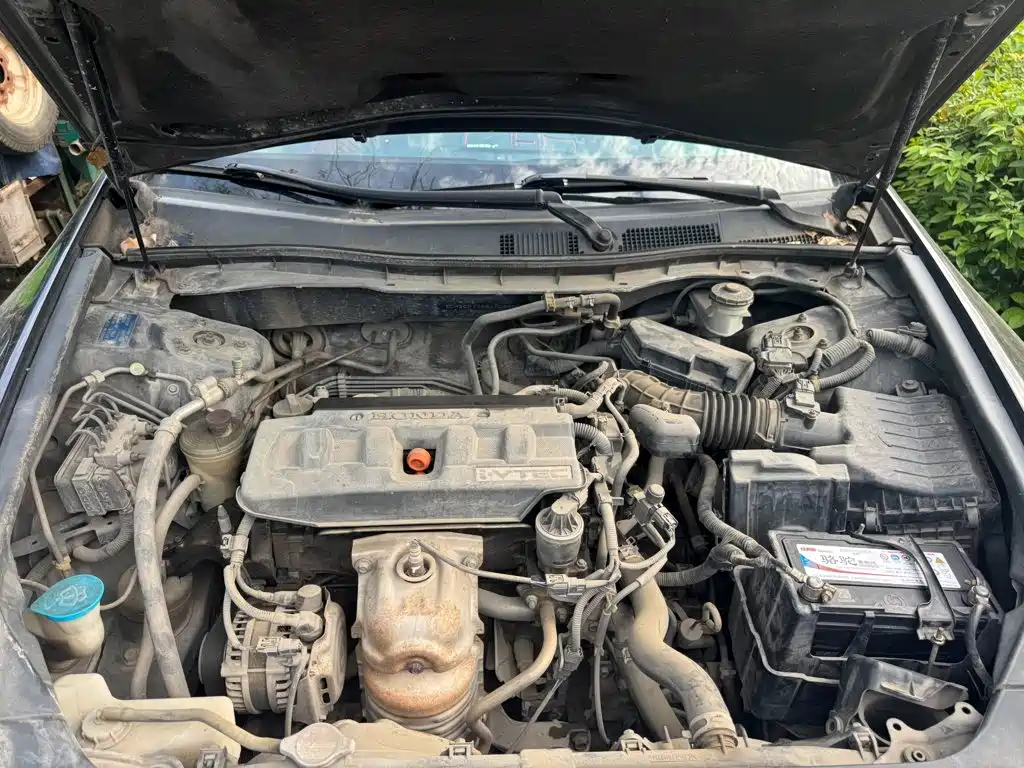 Honda Accord 2010 2010 2.0L EX