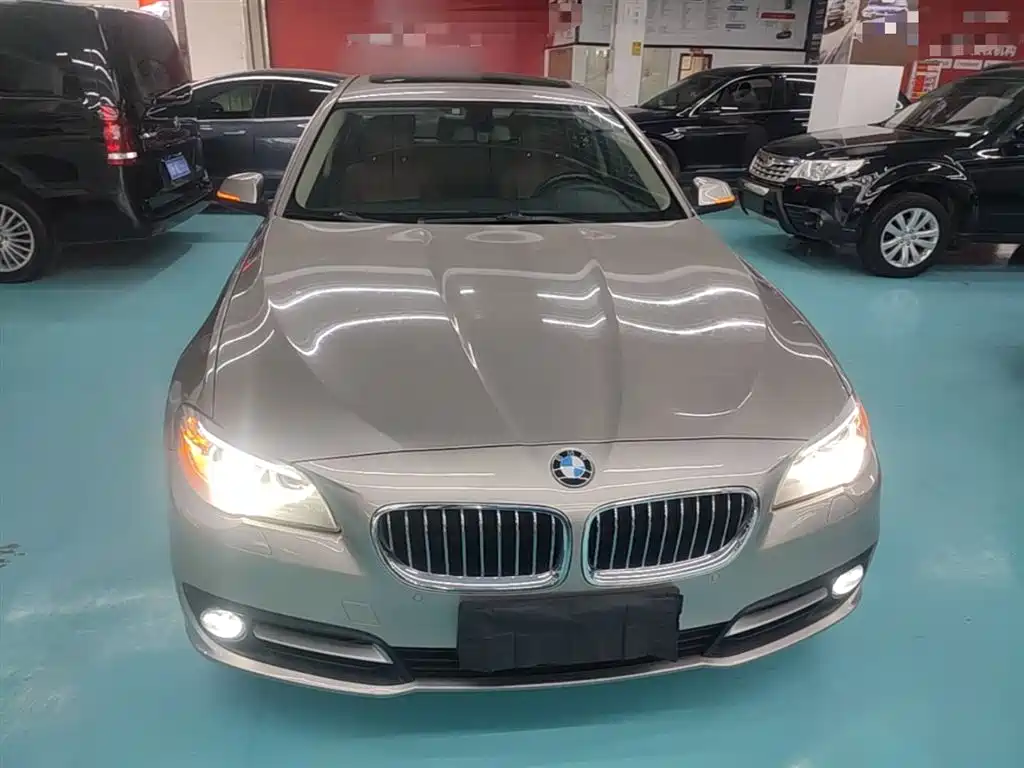 BMW 5 Series 2017 525Li Leading Edition фото 3