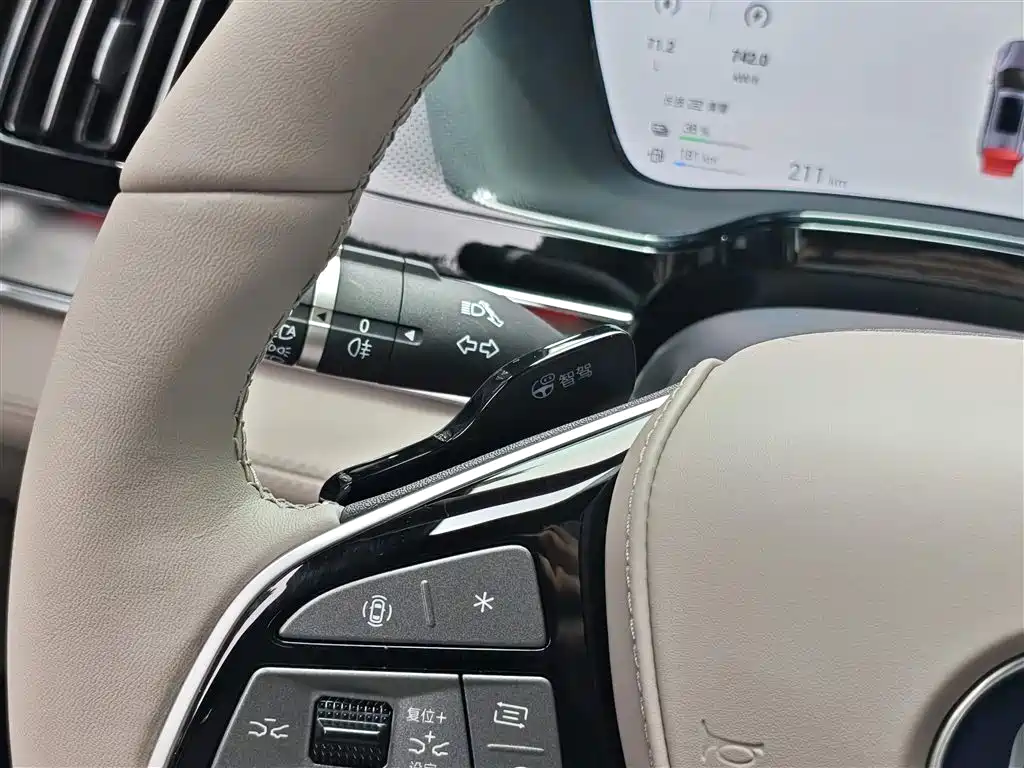 BYD Tang New Energy 2025 Smart Driving Edition DM-i 115KM Flagship фото 12