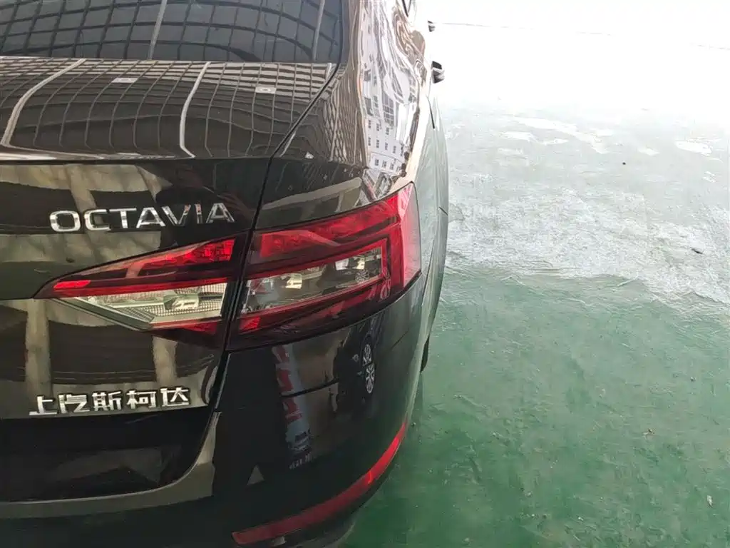Škoda Octavia 2018 TSI230 DSG Comfort Edition фото 8