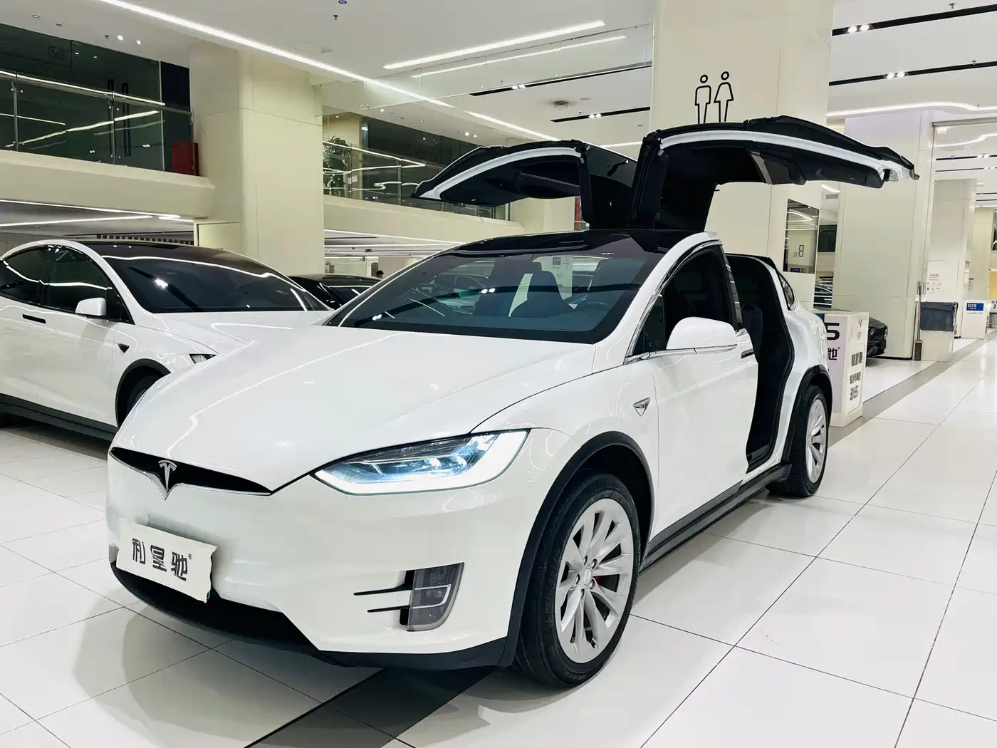 TESLA MODEL X