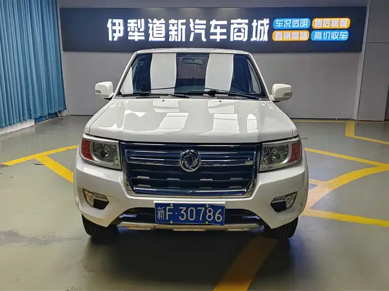 DONGFENG RUIQI