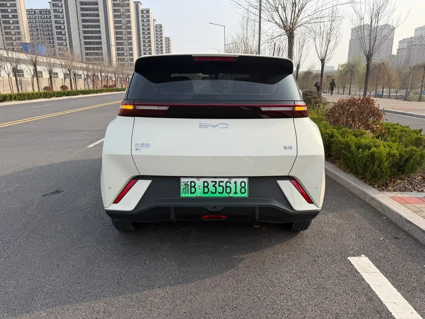 BYD SEAGULL