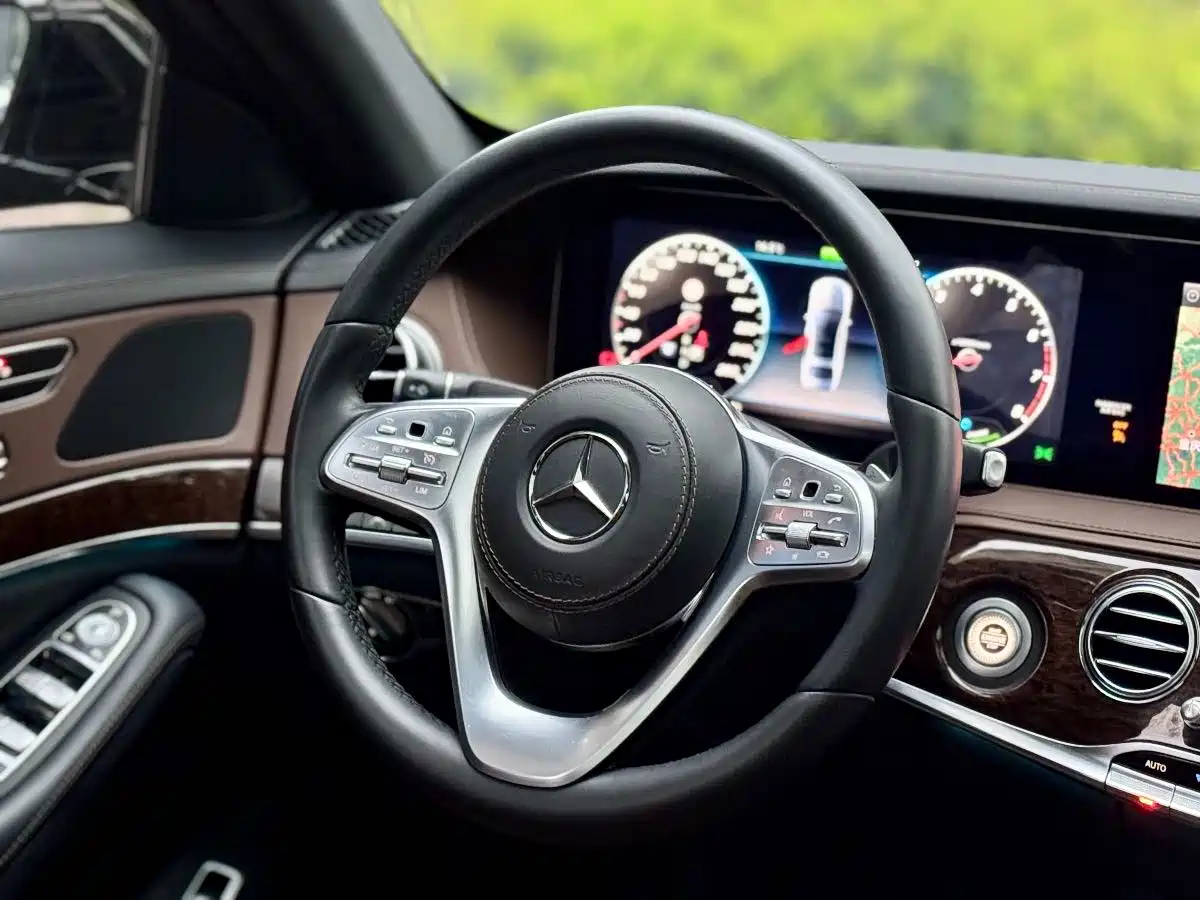 Mercedes-Benz S-Class 2019 S 320 L фото 13