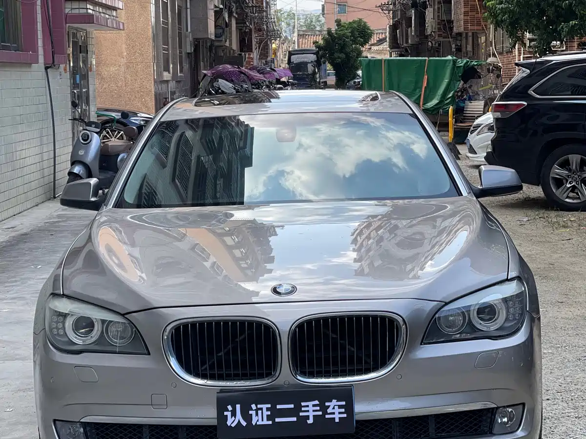 BMW 7 Series 2009 730Li Leading фото 2