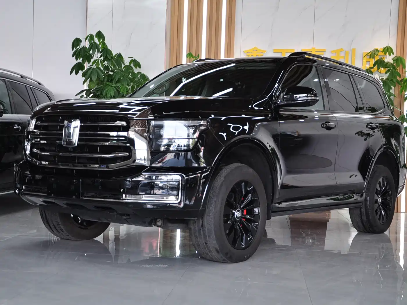 Tank Tank 500 2022 3.0T Black Warrior Limited Edition 5-seater
