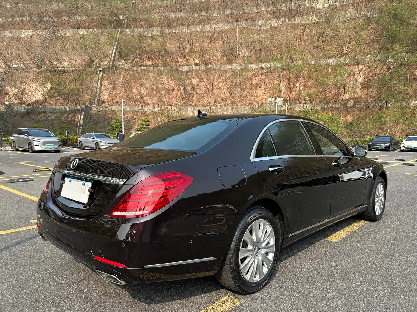 Mercedes-Benz S-Class 2014 S 320 L Business фото 25