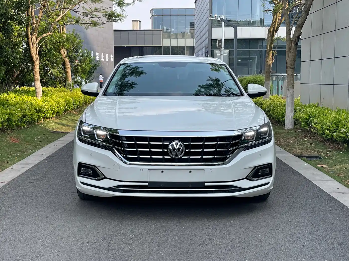 Volkswagen Passat 2019 330TSI Elite Version China VI фото 2