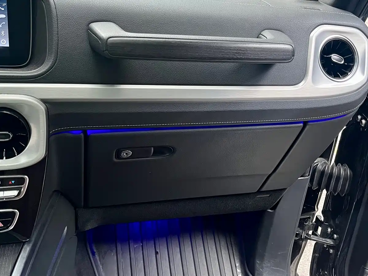 Mercedes-Benz G-Class 2020 G 350 фото 19