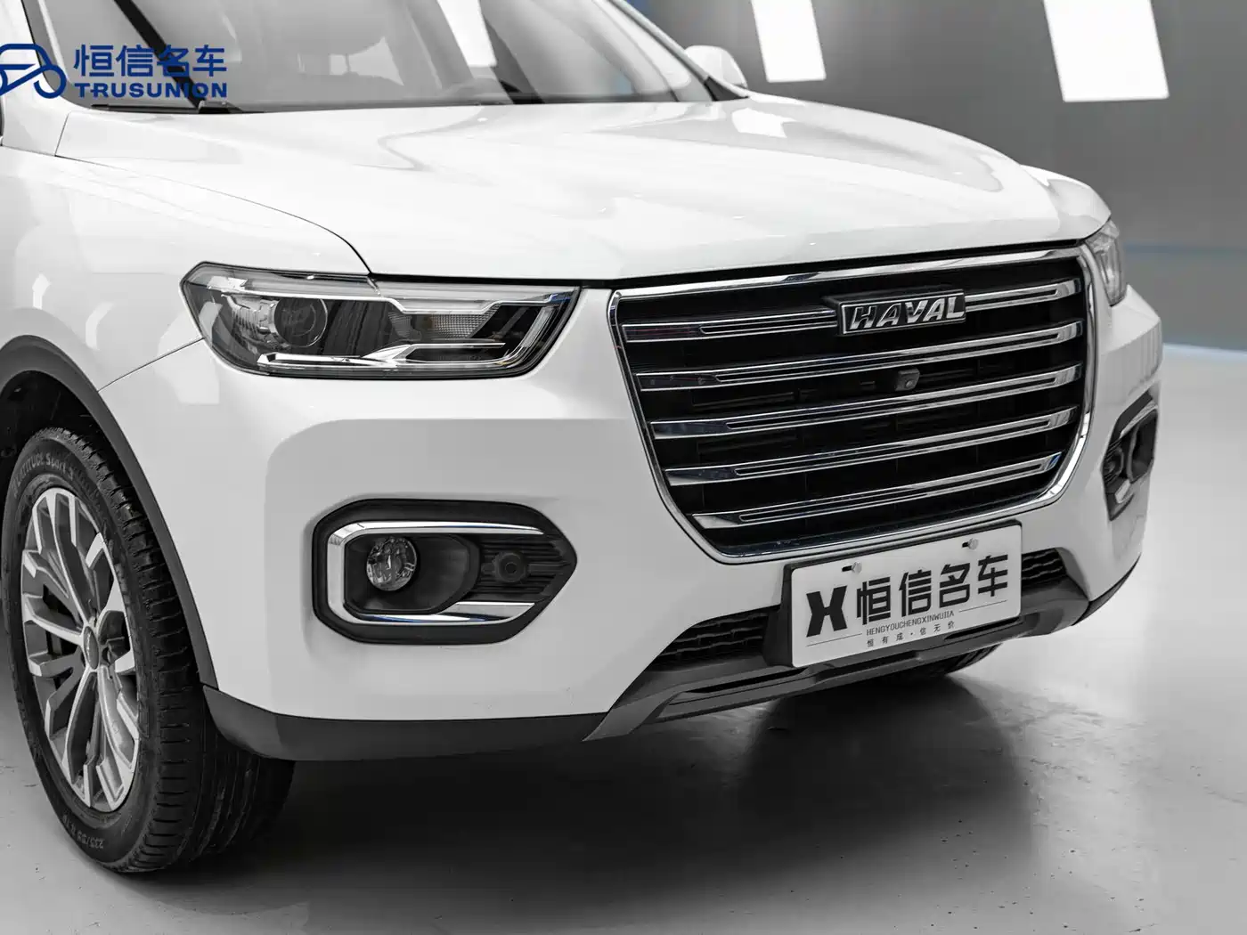 Haval H6 2020 1.5GDIT Automatic Platinum Luxury Edition фото 8