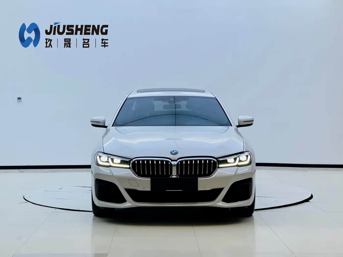 BMW 5 SERIES NEW ENERGY