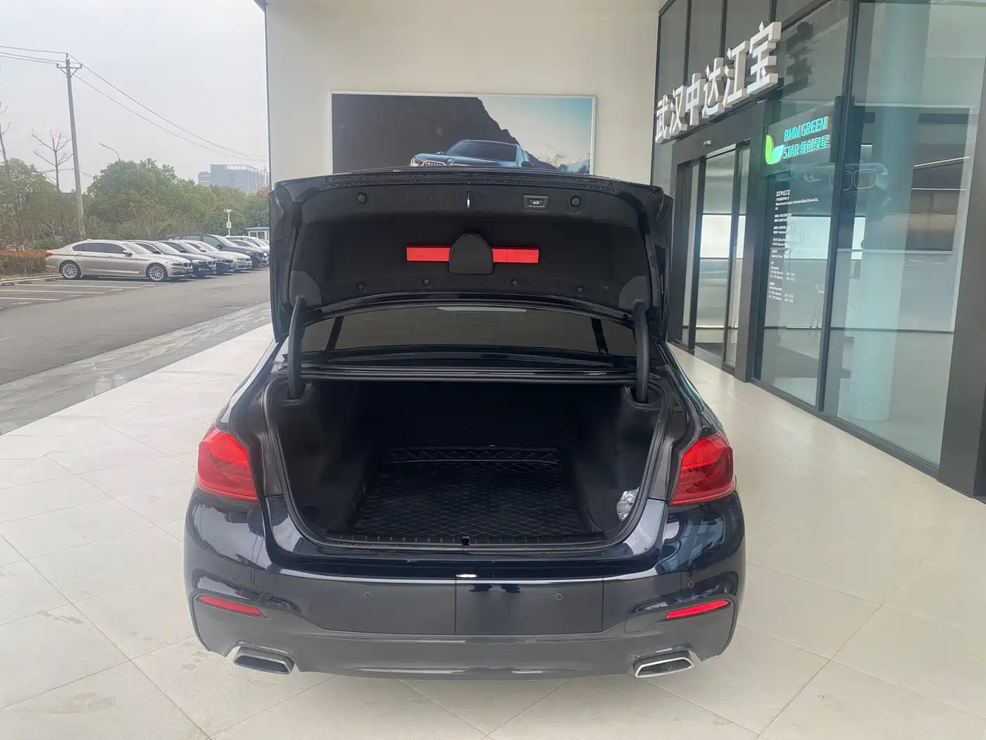 BMW 5 Series 2020 530Li Leading M Sport Package фото 8