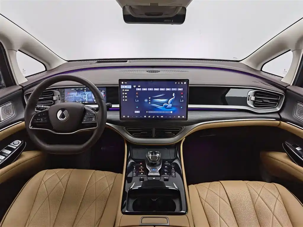 Denza D9 2024 DM-i 980 AWD Prestige фото 5