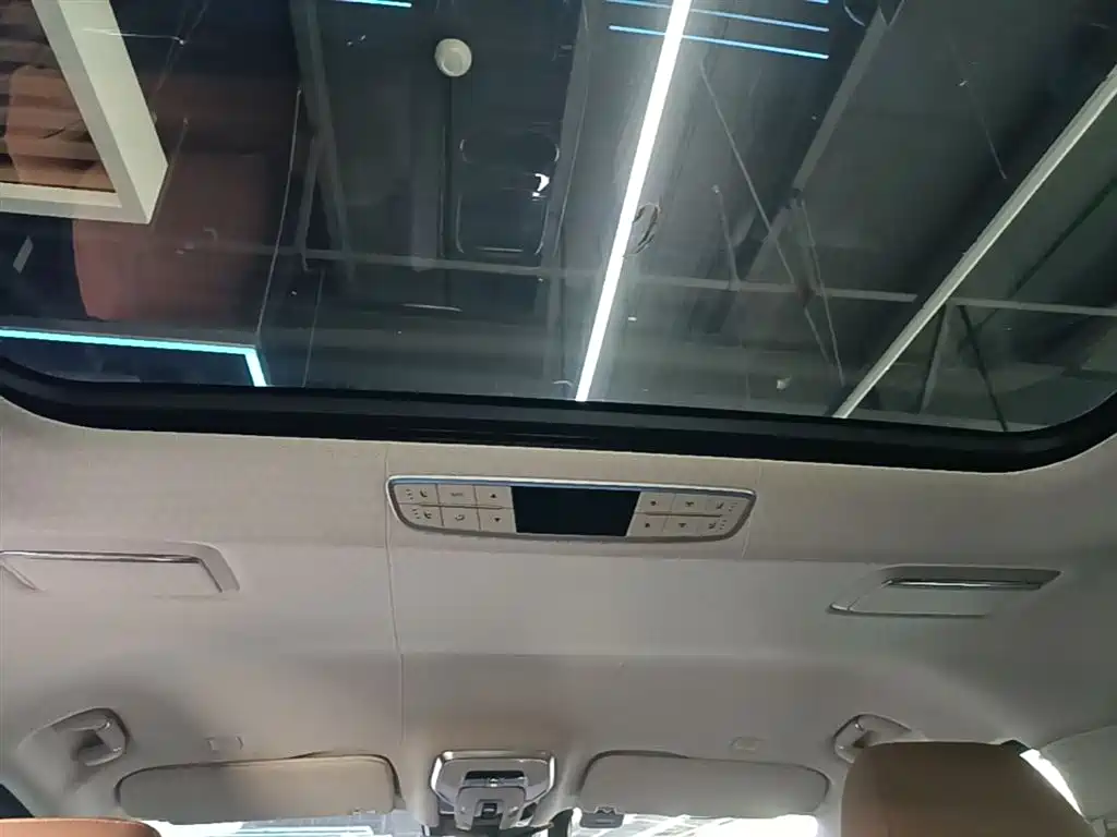 Hongqi HQ9 2023 2.0T Smart Connect Flag Enjoy Edition фото 18