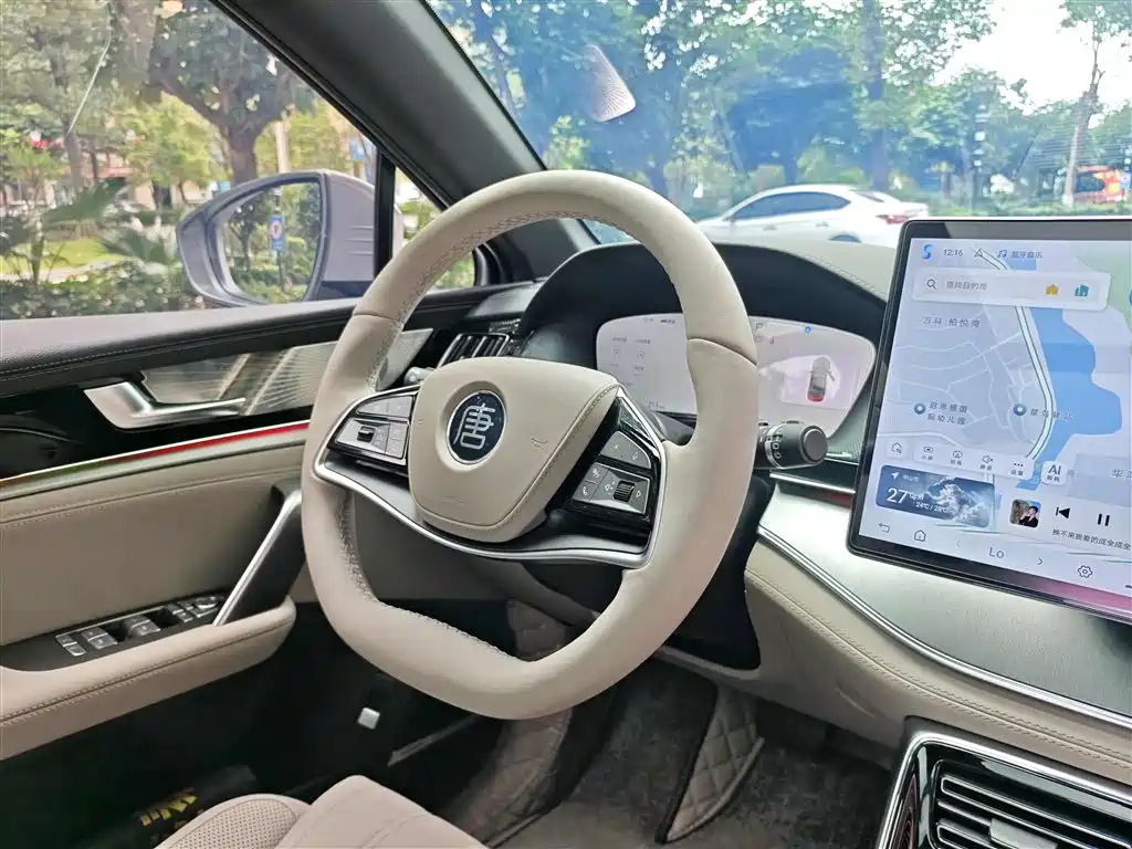 BYD Tang New Energy 2025 Smart Driving Edition DM-i 115KM Flagship фото 10
